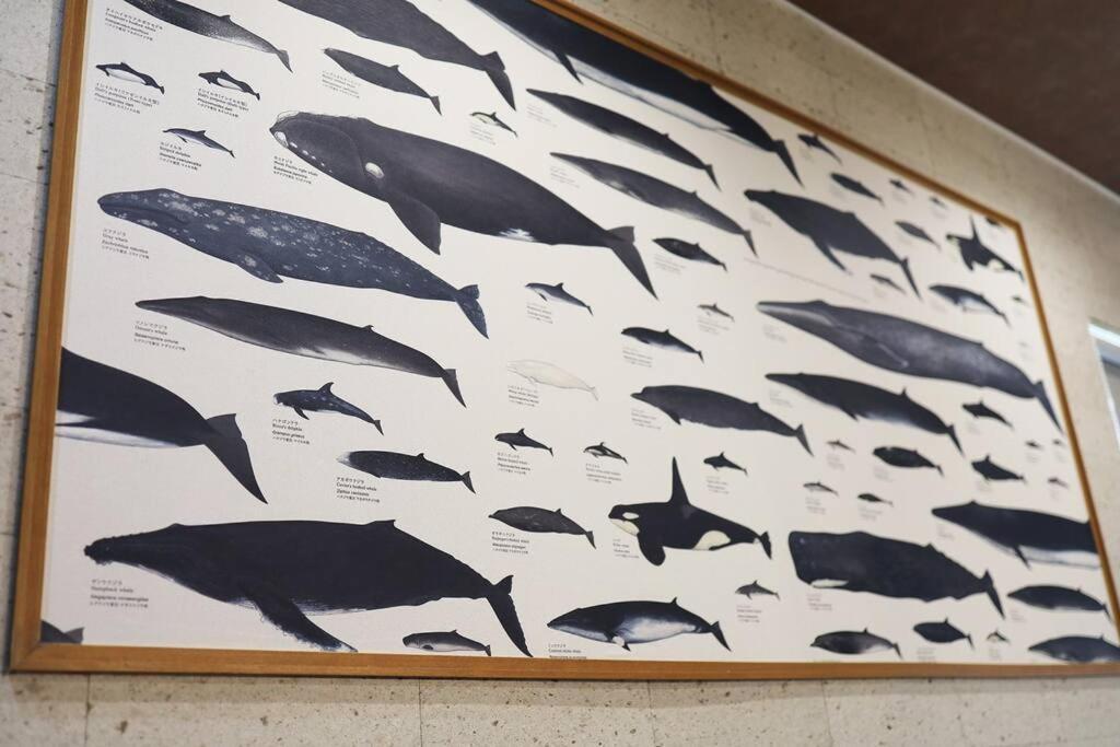 The Beehive * Otaru